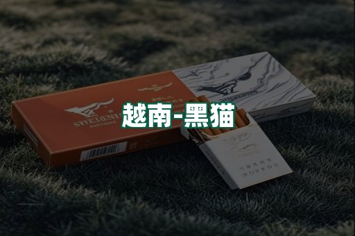 越南黑猫